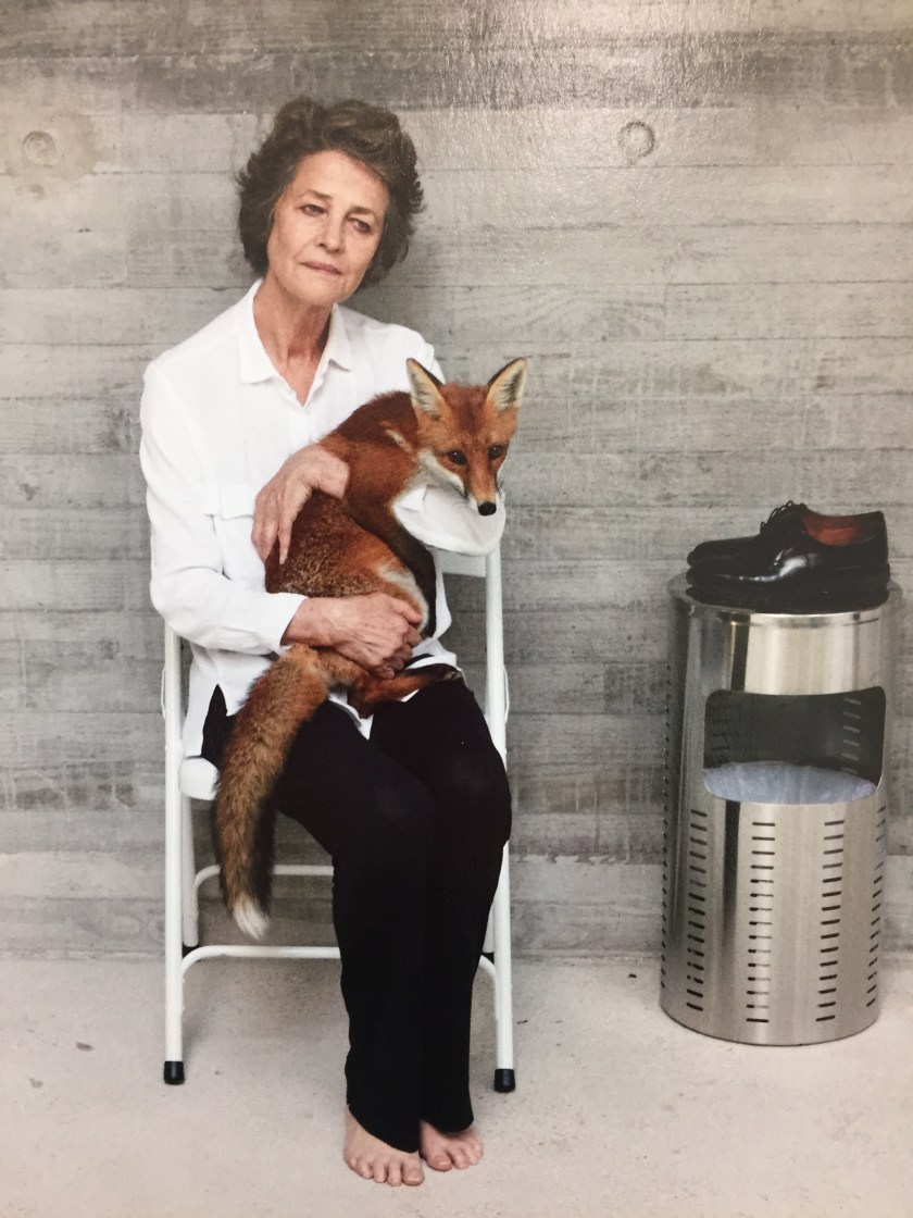 6BCCD8AE-38A7-48DF-A7F4-2C9747AC9366