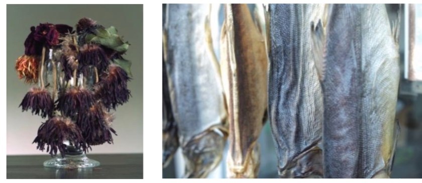 E3677F9A-E2F5-43DF-9EC8-6614E5689525