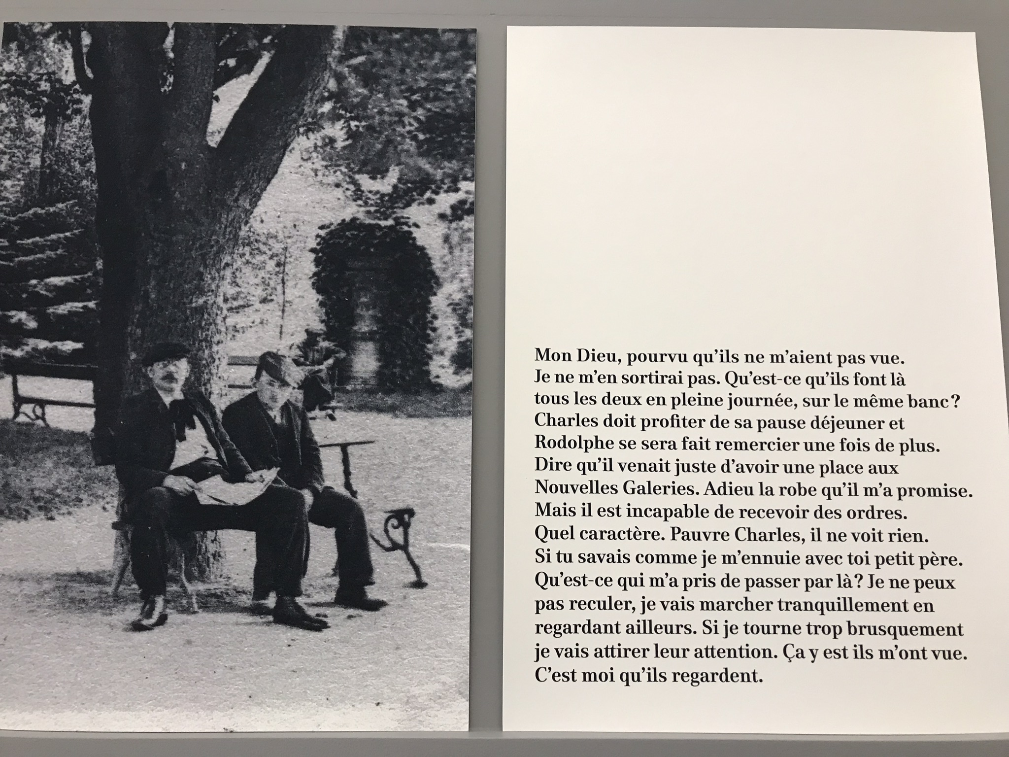 9947CD52-6AA2-4F0D-8A1D-CED9796D43CF