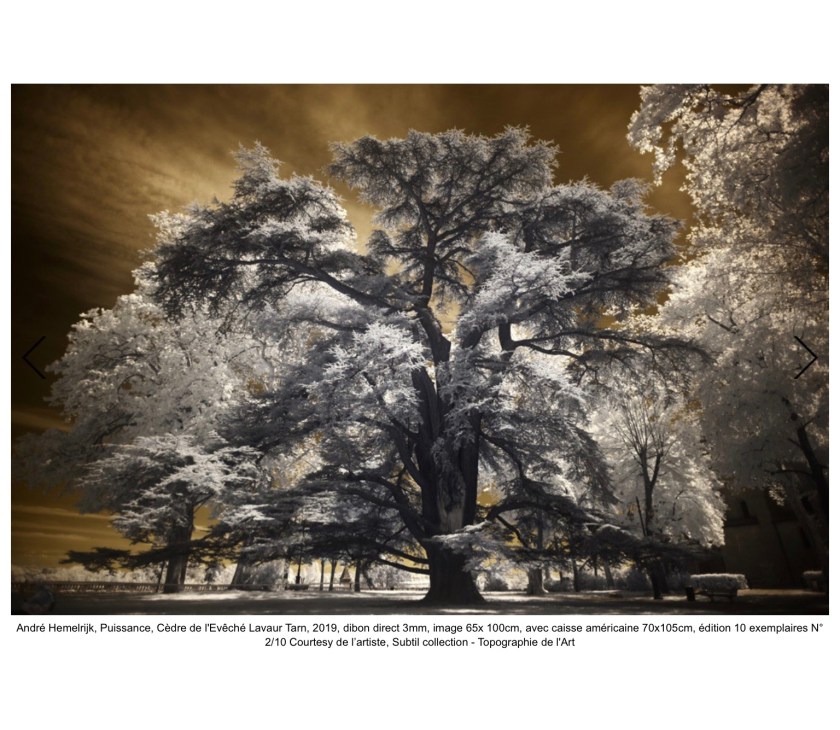 7D0D5C15-71E3-42EC-9597-BA129F7487C9