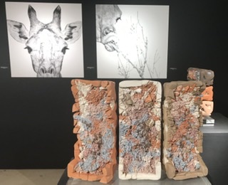 DCAB3B1E-4815-4DB8-8D35-F8089801B363