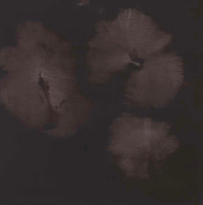 161E8791-71CA-441B-B856-9A964693369D