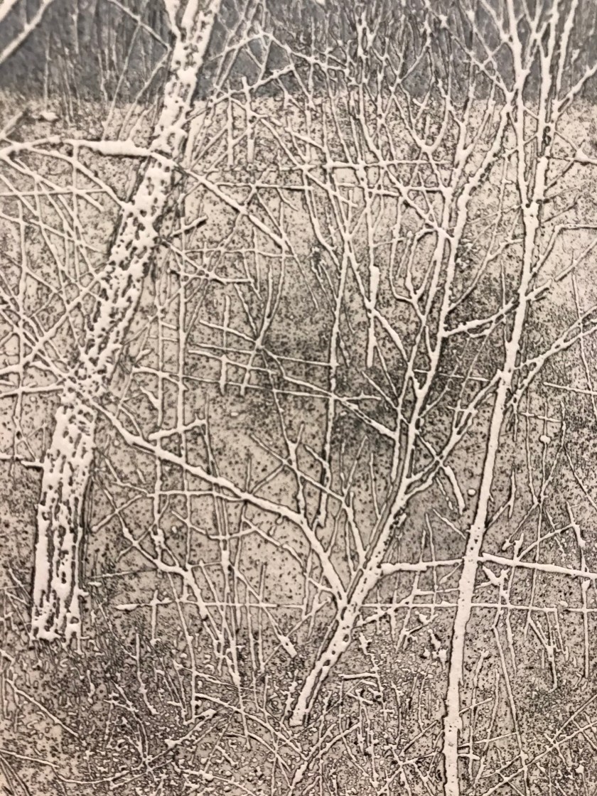 6F46C3C0-F5AB-4E3E-B0DC-B36EA451263E