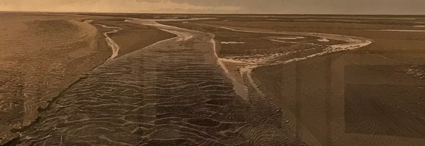 96F406E6-B830-48E4-8B07-313397104407