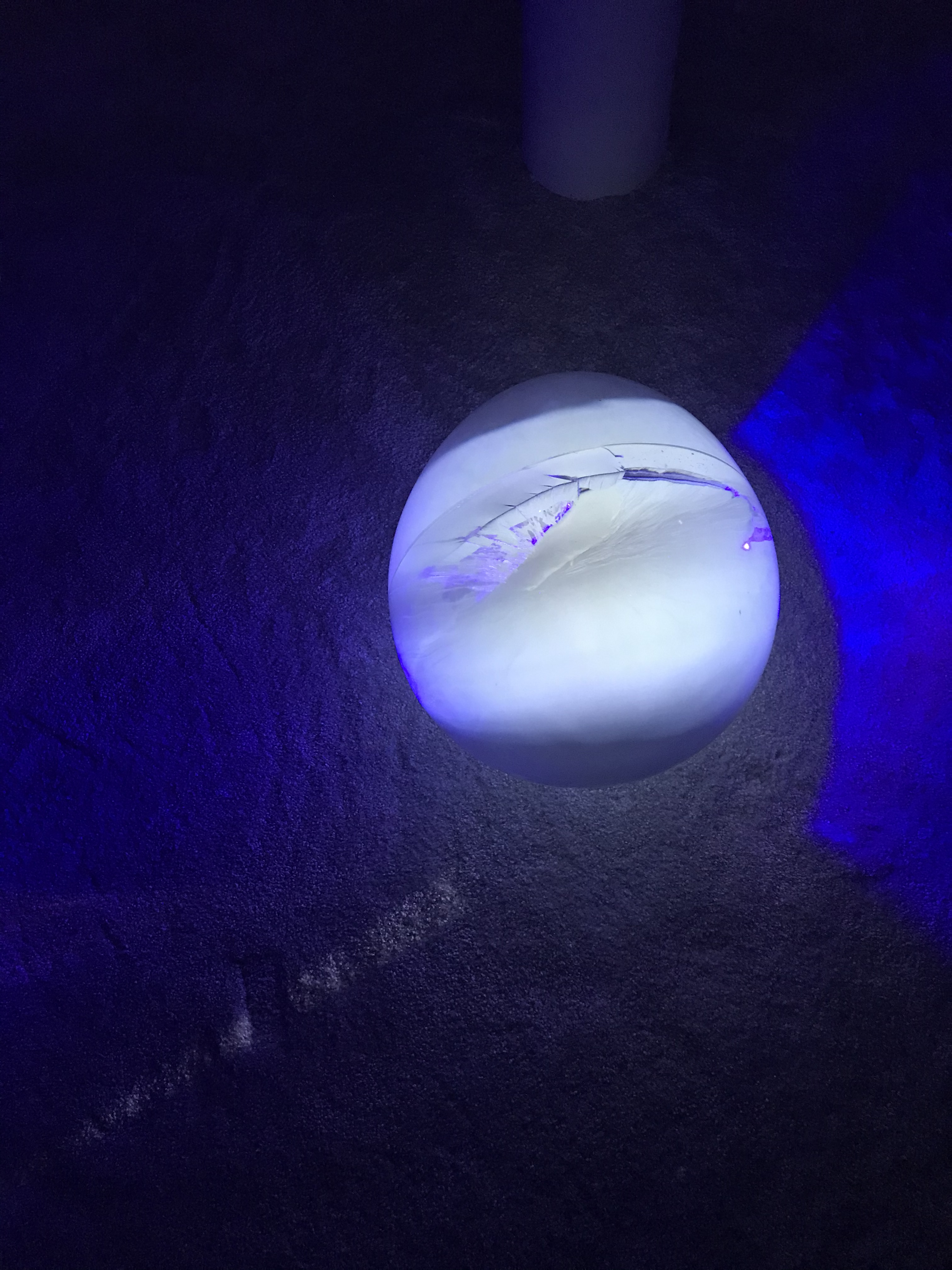 5C791B6F-ED17-495A-ACD2-0380A9D60714