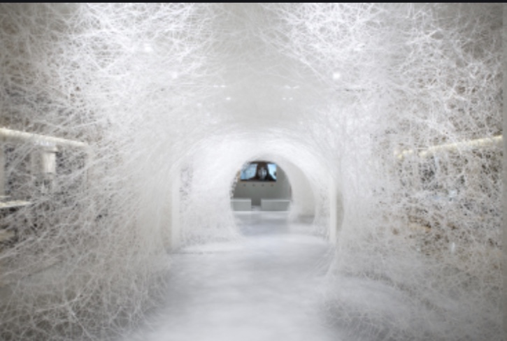 F85DBE71-CECF-426B-BC28-3627C0E59428